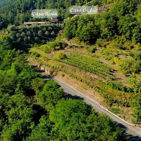 Utarsu Alojamento de Turismo Rural *