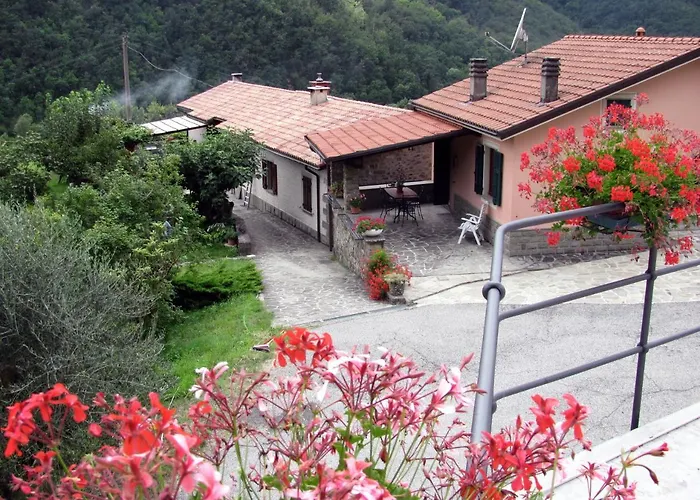 Il Giglio E La Rosa *