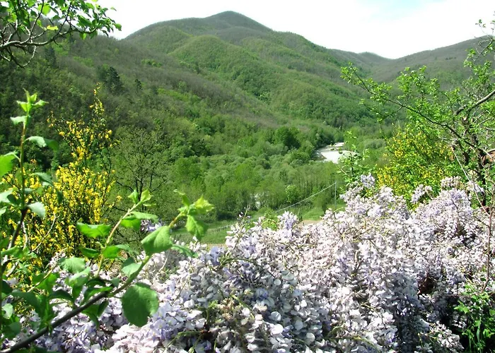 Il Giglio E La Rosa Séjour à la ferme *